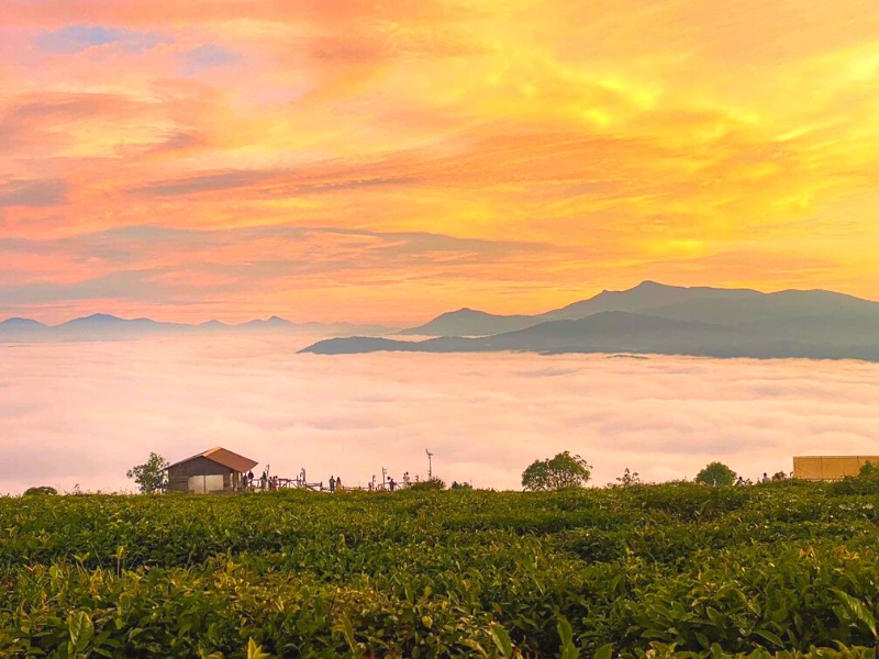 ĐÀ LẠT SĂN MÂY