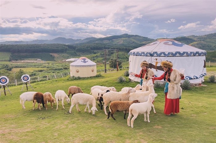 ĐÀ LẠT -THÀNH PHỐ MÙA XUÂN