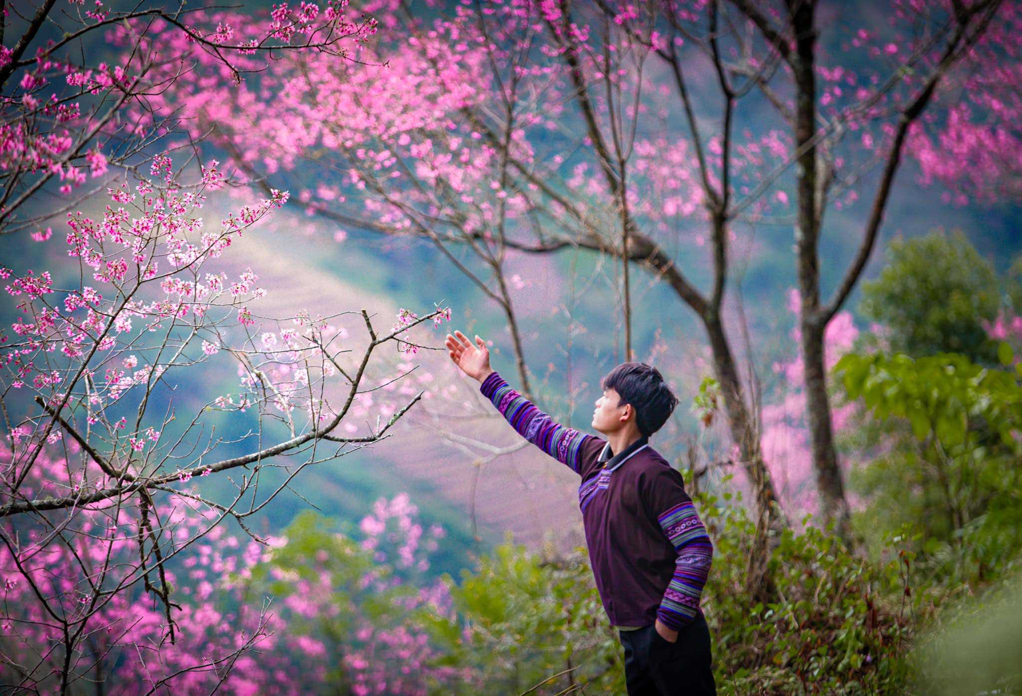 Một Mù Cang Chải lãng mạn mùa hoa tớ dày