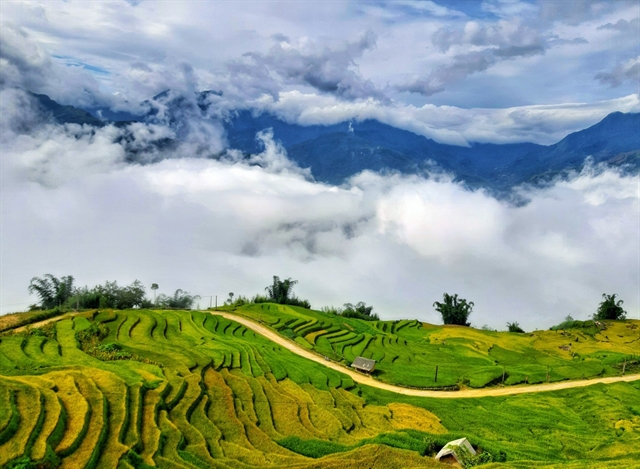 HÀ NỘI - Y TÝ – BẮC HÀ